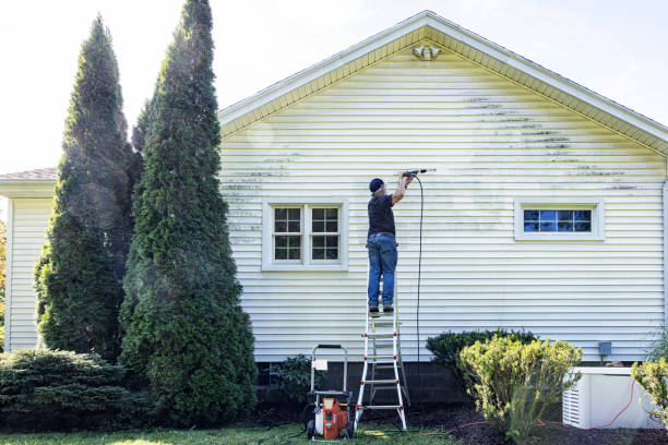 Best Soft Washing for Delicate Surfaces in Bayou Vista, TX